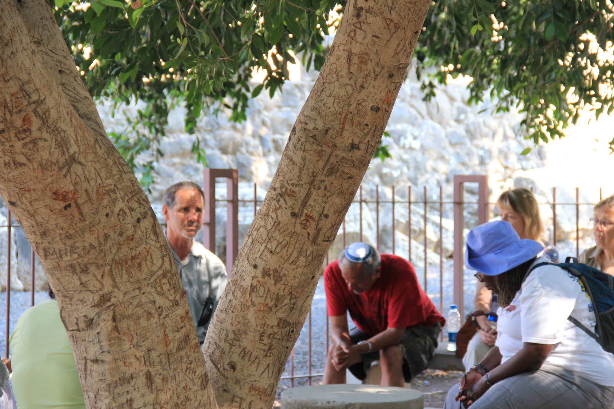 Capharnaum 15